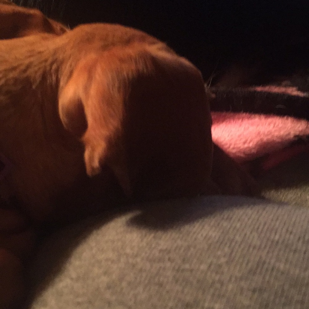 Meet your Posher, Brenda